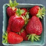 AAFC Evelyn, a strawberry developed by AAFC researchers in Kentville, N.S.