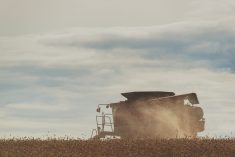 A combine is seen harvesting wheat through a dust cloud.