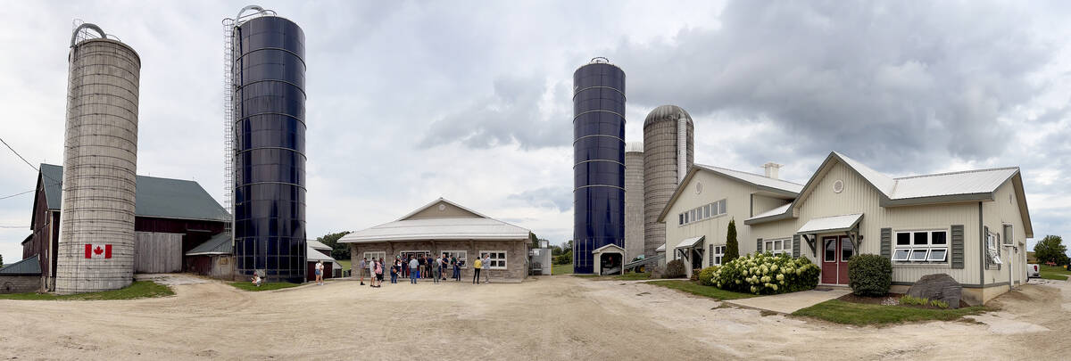 Although Miller’s Dairy and Jalon Jerseys share the same farm footprint, the two are run as separate businesses with the cows, quota, and cash crop and forage under Jalons, and the milk and ice cream under Miller’s Dairy. Photo: Diana Martin