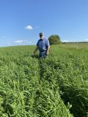 Brian Trueman, owner of Thunderbrook farms in Amherst, Nova Scotia, stands in a field planted with the new variety developed by Papadopoulos’ and his team at Agriculture Agri-Food Canada’s Nappan Research Farm.