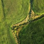 Faster growth for farmland values in first half of 2025 says FCC