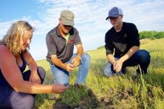 A 2019 field tour in western Manitoba highlighted soil health gains made through changes to on-farm practices. PHOTO: FILE