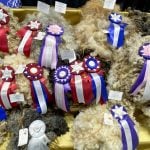 Canadian wool innovation contest opens application window