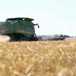 A wheat field with a John Deere combine working in the background.