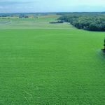 Ontario landscape photograph taken by drone.
