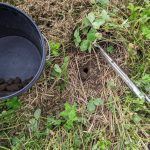 Proper tools for sampling include stainless steel probes and plastic pails.