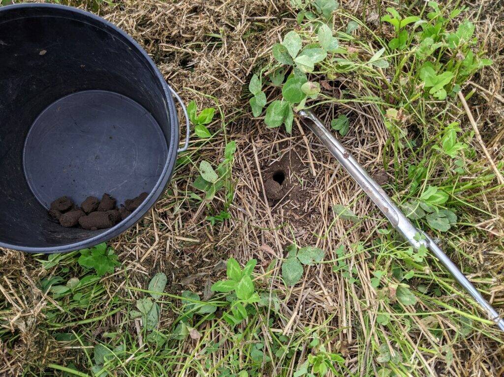Proper tools for sampling include stainless steel probes and plastic pails.