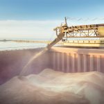 Wheat is loaded into the hold of a cargo ship.