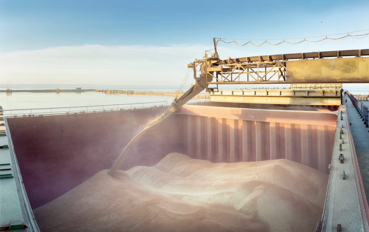 Wheat is loaded into the hold of a cargo ship.