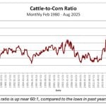 John DePutter chart