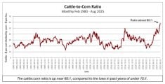 John DePutter chart