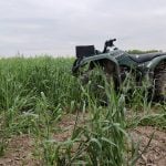 Cover crops, employed strategically, can increase soil health, decrease erosion, address weed pressure and provide increased ecosystem diversity, but the first question a grower must answer is "what are you trying to accomplish?" Photo: Matt McIntosh