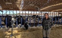 Kashfia Sailunaz, a member of Dalhousie’s Mooanalytica Research Group, records cow vocalizations at Sussex Dairy Farm using a field microphone and recorder setup to capture the animals’ emotional expressions.
 Photo: Suresh Neethirajan, Dalhousie University