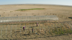 The Semi-arid Grassland Research Center was used in the International Drought Experiment as part of this research. Credit: CSU College of Natural Sciences