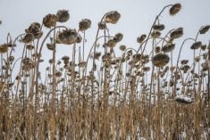 (GZKele/iStock/Getty Images)