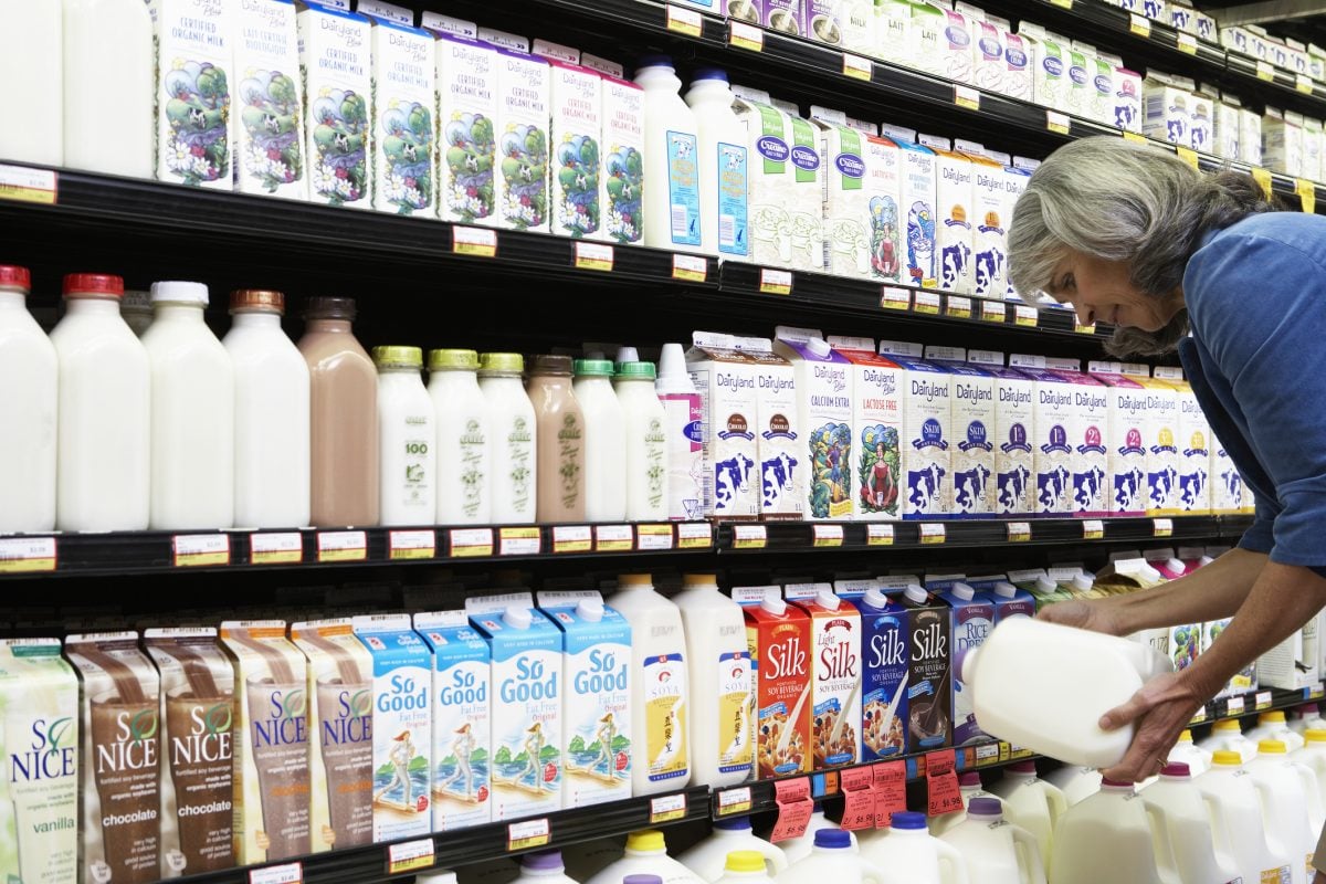 Woman bends down to read the label on a jug of milk in a grocery store milk cooler.