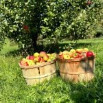 Farmers taking to social media to spread the word about the cost of farm thefts