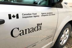 File photo of a CFIA vehicle. Photo: Dave Bedard