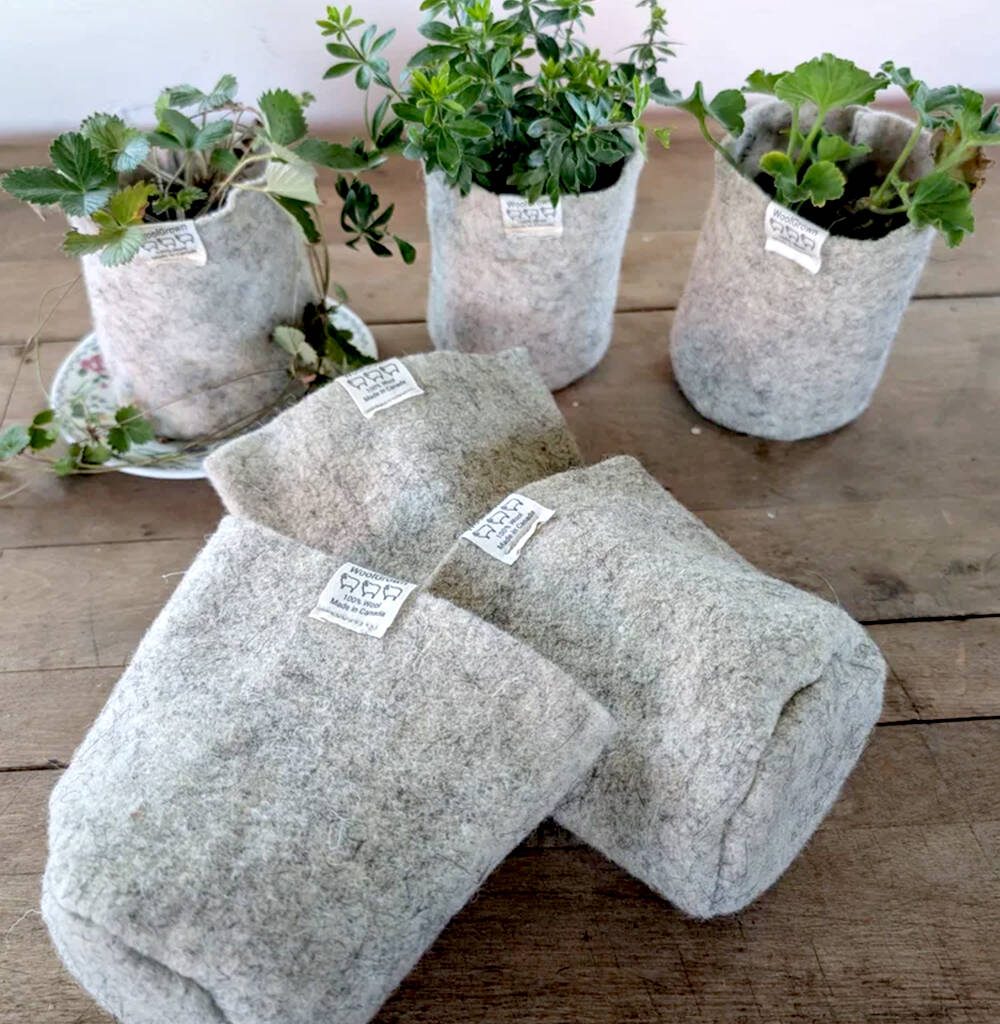 WoolGrown's felted wool pots are perfect for transplanting. Photo: WoolGrown