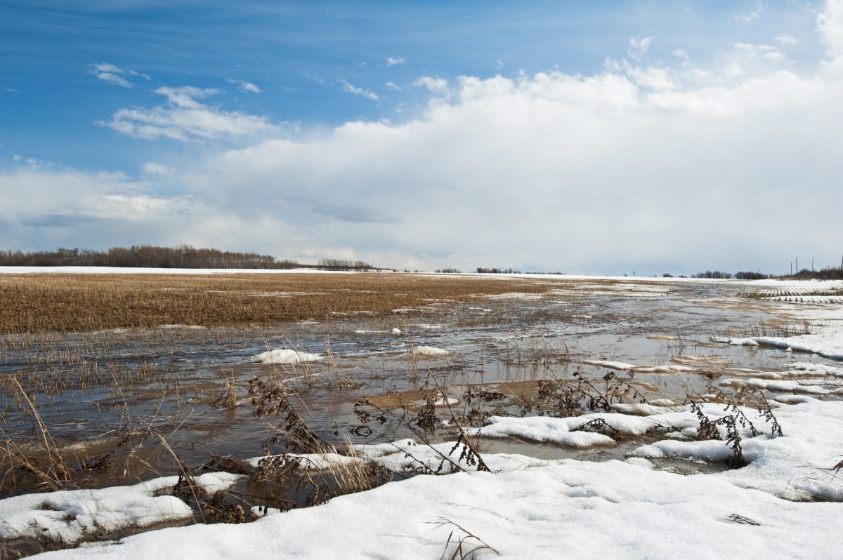 Photo: tbob/Getty Images Plus
