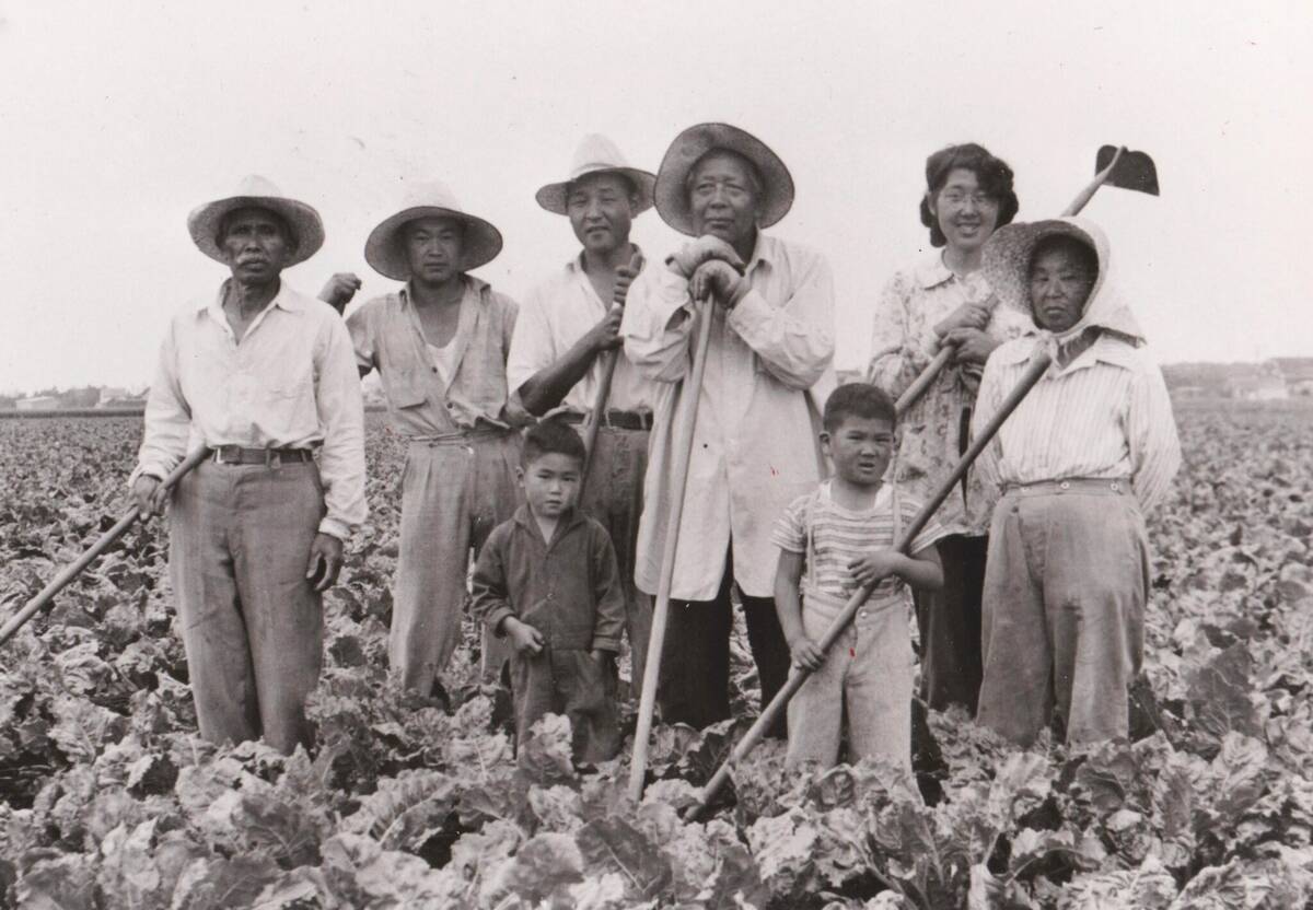 Art Miki’s family on the sugar beet farm near Ste. Agathe in 1942. Photo: Supplied