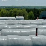 A Quebec farmer uses fishing line to keep crows of his silage tubes