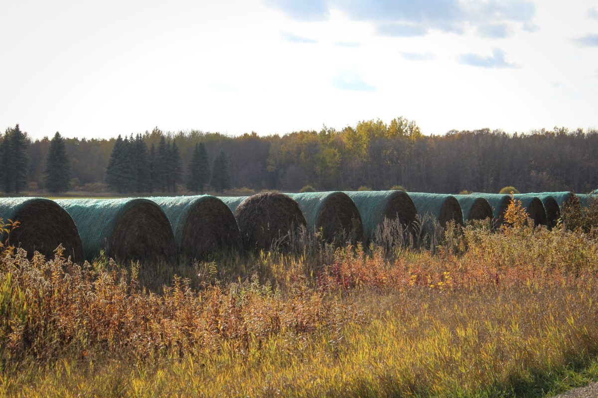 Photo: Geralyn Wichers
