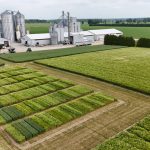Winter cereals beyond wheat gaining traction