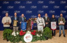 California's Vierra Dairy Farms' Stoney Point Joel Bailey, EX 97, took the Supreme Dairy Champion and National Jersey Show Grand Champion titles at the Royal Agricultural Winter Fair in Toronto on Nov. 14.