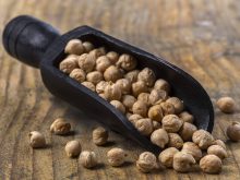 Pulse weekly: Record Australian pulse crop expected