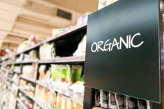 Organic sign in grocery aisle. Photo: Getty Images