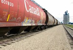 A train transports grain across the Prairies. Photo: File