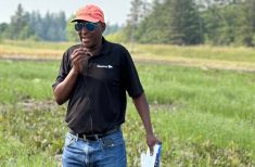 Manitoba Agriculture's Manasah Mkhabela at Arborg, Man., in July 2025, discussing trials he's conducting with University of Manitoba soil scientist Mario Tenuta to find the sweet spot for nitrification inhibitors. Photo: Don Norman