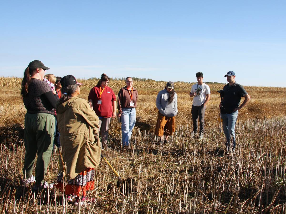 Attendees of the Indigenous Farm and Food Festival in Batoche, Sask., stand in a swathed canola field in late September 2025. Photo: Janelle Rudolph