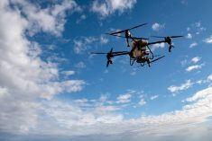 Agricultural drone spreading fertilizer on a newly planted field in Argentina. Smart farm. Photo: Cristian Martin/Getty Images Plus