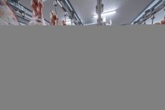 Photo: Getty Images Plus
