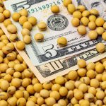 China’s buying has underpinned Chicago soybean futures in recent weeks, helping the market end 2025 on a positive note. Photo: Getty Images Plus

