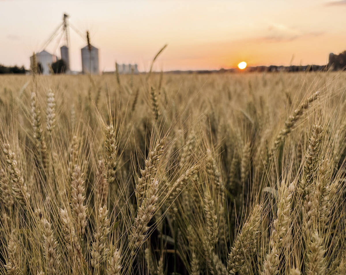 Corteva lifts sales forecast on strong demand for crop protection products, seeds