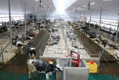 An overlook view of a dairy barn in Ontario. Photo: John Greig