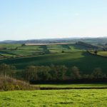 Rural Devon, southwest England, January 2024. Photo: Matt McIntosh