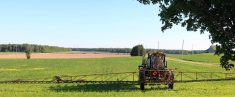 Industrial spraying machine in farm field killing weeds in very infested corn crop