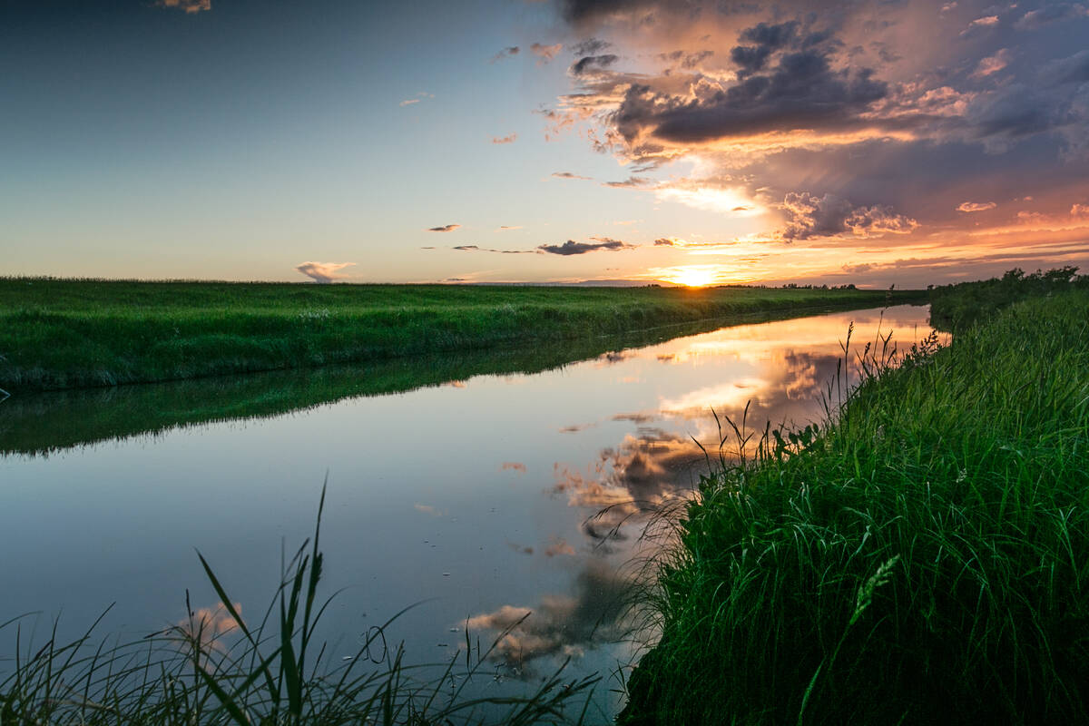 In the farmland area of Canada’s Prairies, wetlands are being drained to increase crop production and expand urban development. Photo: Getty Images Plus

