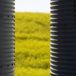 ICE Weekly: Canola benefitting from supportive factors