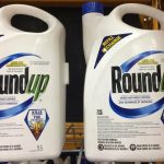 Plaintiffs say that Roundup’s active ingredient, glyphosate, causes cancer, and they developed non-Hodgkin’s lymphoma and other forms of the disease after using the weedkiller. Bayer has said decades of studies have shown Roundup and glyphosate are safe and do not cause cancer. Photo: File
