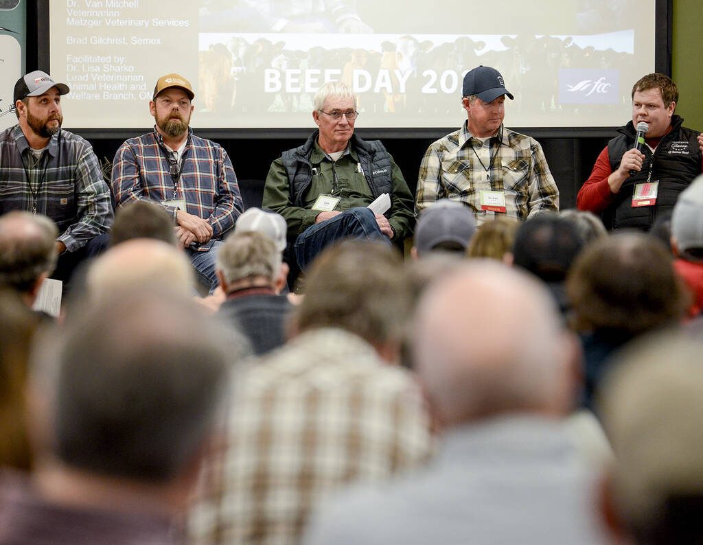 Brad Gilchrist, Semex global beef supply chain manager, far right, discusses how nuanced the roles bull selection and environment play in improving Ontario's beef herd, alongside, from left to right, Tom Cunningham, Darell Saunders, Dale Pallister, and Dr. Van Michell, during Grey Bruce Farmer's  Week's Beef Day, Jan. 7, 2026 in Elmwood, On. Photo: Diana Martin