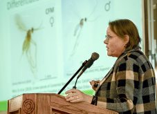 Dr. Rebecca Hallett, University of Guelph, shares recent canola flower midge research results during the Ontario Canola Growers annual general meeting on Feb. 5, 2026. Photo: Diana Martin