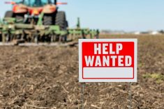 The agriculture sector has its own dedicated stream to hire temporary foreign workers &mdash; the Seasonal Agricultural Worker Program (SAWP), but may also hire workers through the low-wage stream. Photo: Getty Images Plus
