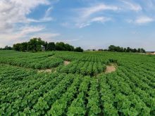 Farm at Highway 27 in the sunset, Cookstown, Canada - stock photo
Ontario, Canada. jimfeng/iStock / Getty Images