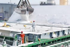 Fertilizer is being loaded onto a cargo ship at Yantai Port in Shandong, China on March 16, 2026. Photo: CFOTO/Sipa USA
