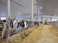 Visiting some of the herd at Character Holsteins earlier this year. Photo: Lora Bender